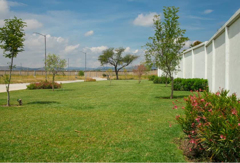  - Santuario